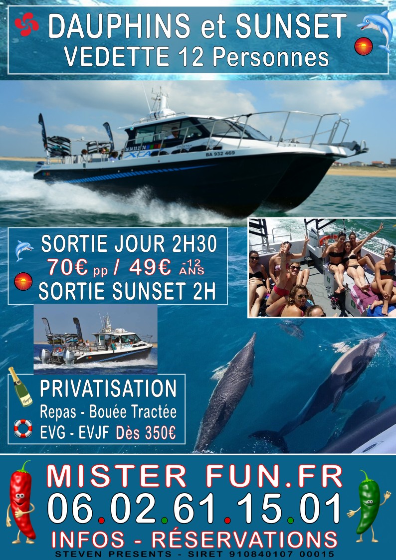 Vedette Dauphins et Sunset