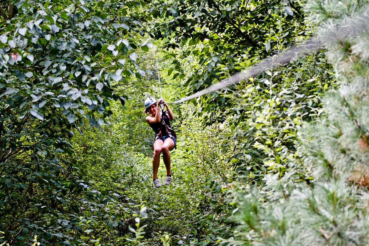 le-parc-aventure-oihana