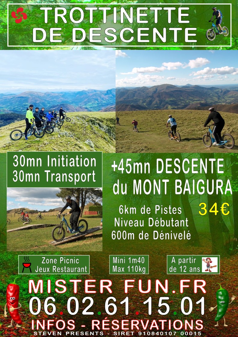 Trottinette de Descente